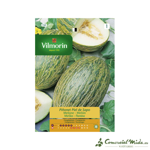 Semillas De Melón Piel De Sapo Piñonet, Sobre De 25 G, De Precocidad Media, Frutos De 2 Kg, Carne Dulce Y Perfumada