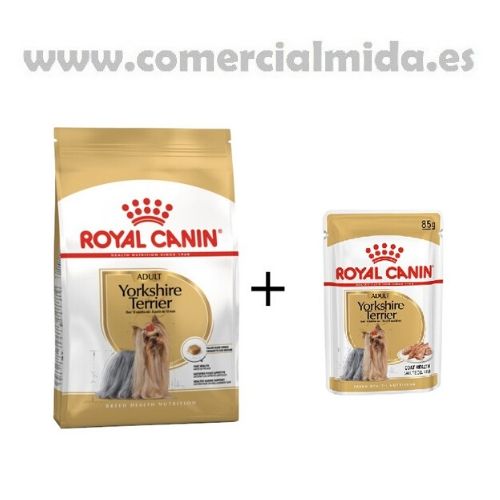 ROYAL CANIN YORKSHIRE Adulto 12x85gr + Saco de 1,5kg