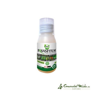 VISTAZO RÁPIDO Fungicida MASSÓ GREEN Equisetum 60cc