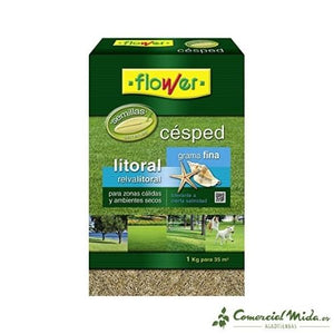 VISTAZO RÁPIDO Semillas de CÉSPED LITORAL FLOWER