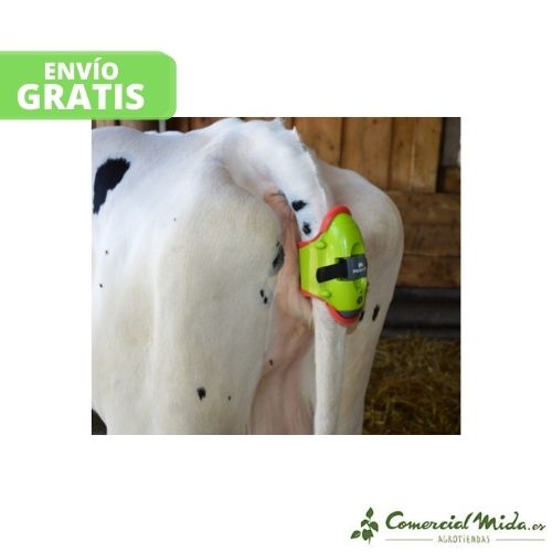 Moocall sensor de parto