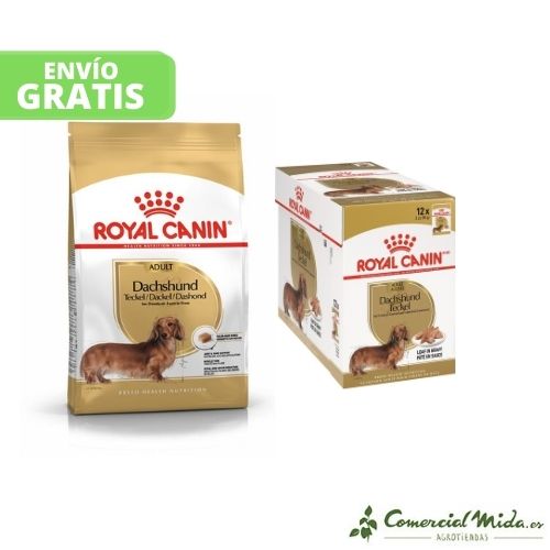 Royal Canin Dachshund comida húmeda para Teckel (A partir de 10 meses) - Caja (12 sobres) + Saco de 7,5Kg