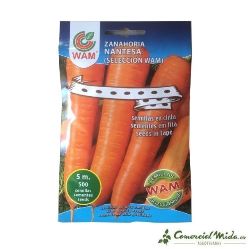 500 Semillas Zanahoria Nantesa WAM