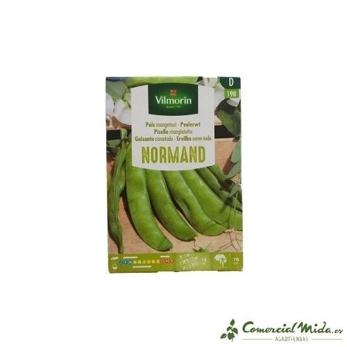 Semillas guisantes cometodo Normand de Vilmorin